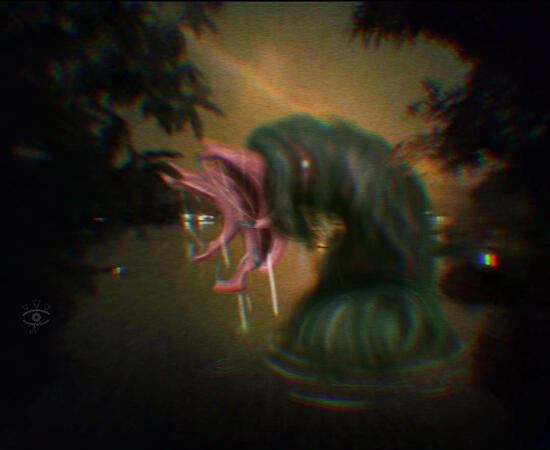 Last Photo